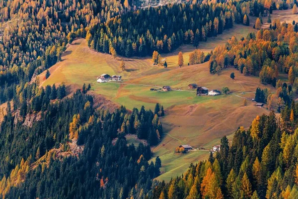 Dolomiten Buntes Laub Herbst Mit Natürlicher Landschaft Norditalien — Stockfoto