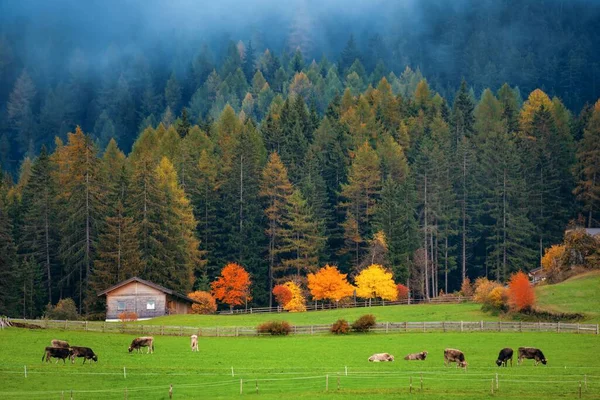 Kuzey Talya Dolomitler Doğal Pelerin — Stok fotoğraf