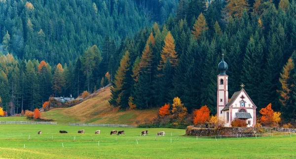 Iglesia Las Dolomitas Paisaje Natural Del Norte Italia —  Fotos de Stock