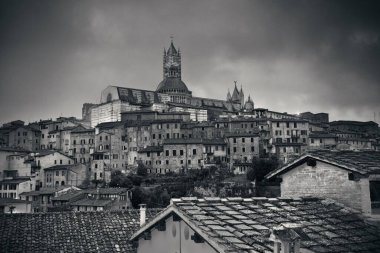 Siena Katedrali ve İtalya 'daki tarihi binaların olduğu ortaçağ şehir silueti manzarası