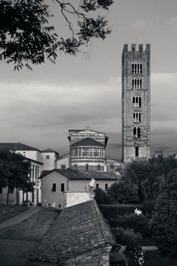 Lucca 'da tarihi yapıları olan Basilica di San Frediano..