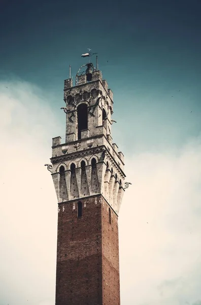 Városháza Bell Tower Közelkép Siena Olaszország — Stock Fotó