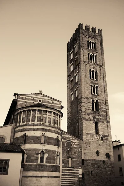 Basílica San Frediano Lucca Con Edificios Históricos Italia —  Fotos de Stock