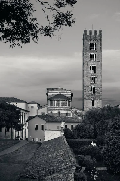 Basílica San Frediano Lucca Com Edifícios Históricos Itália — Fotografia de Stock