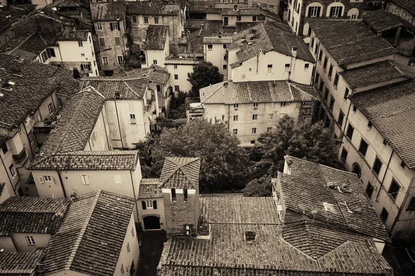 上から見るとイタリアのルッカ — ストック写真
