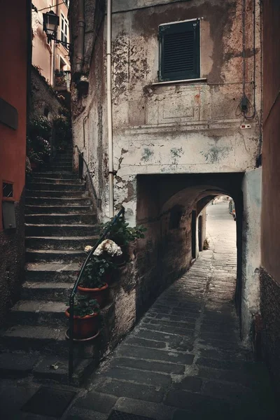 Típica Vista Callejón Riomaggiore Cinque Terre Italia — Foto de Stock