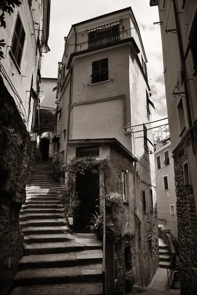 Типова Алея Riomaggiore Cinque Terre Італія — стокове фото