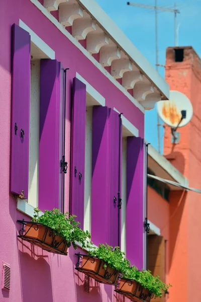 Burano Bâtiments Historiques Colorés Venise Italie — Photo