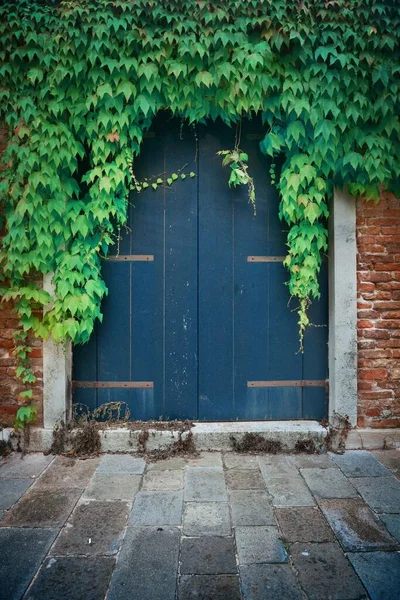 Dveře Vztahuje Listy Historických Budovách Benátky Itálie — Stock fotografie