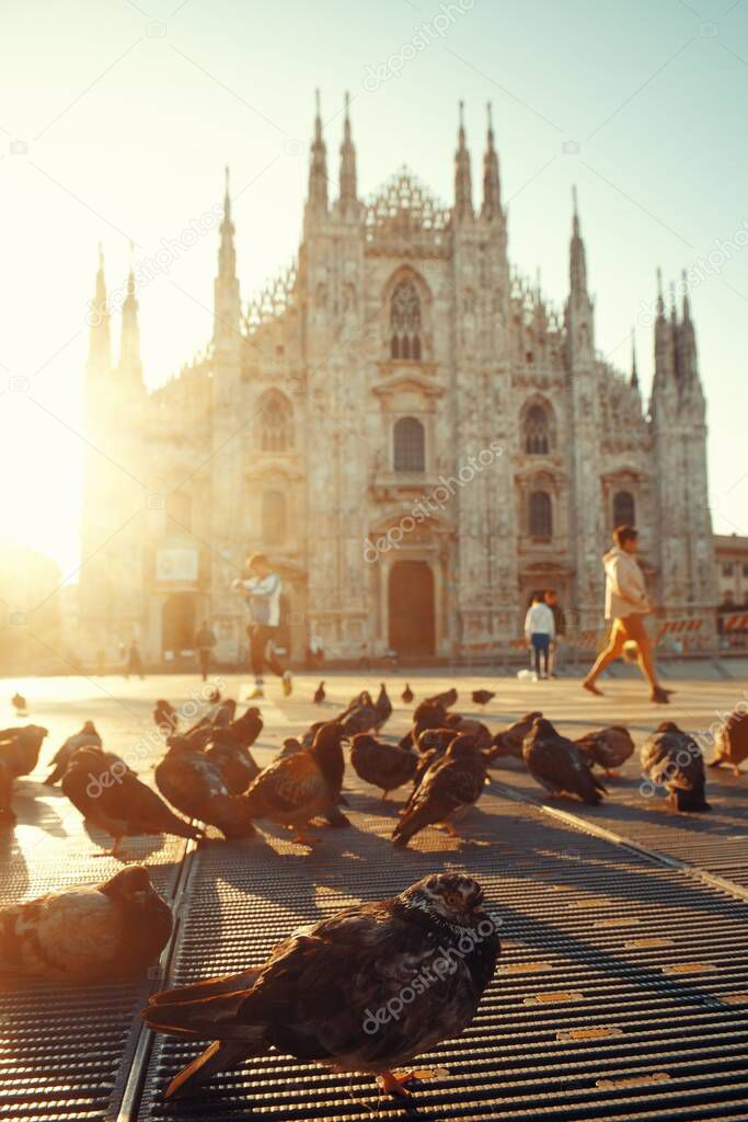 Pigeon sunrise at Cathedral Square or Piazza del Duomo in Italian, the center of Milan city in Italy. 