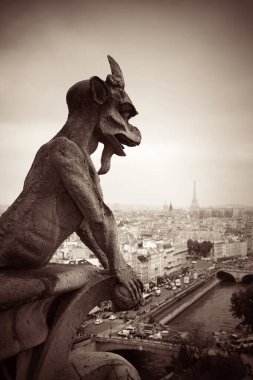 Notre-Dame Katedrali 'nin Paris çatı manzarası.