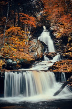 Parkta renkli yapraklarla sonbahar şelaleleri.