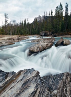 Kanada 'daki Jasper Ulusal Parkı' nda güzel bir sahne