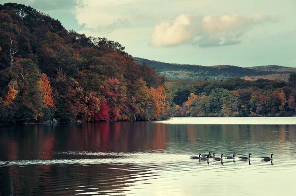 Herbst Buntes Laub Mit Seespiegelung — Stockfoto
