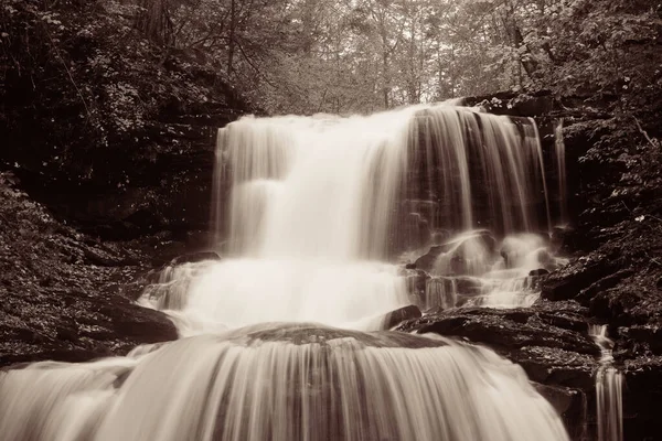 Wasserfälle Wäldern Schwarz Und Weiß — Stockfoto