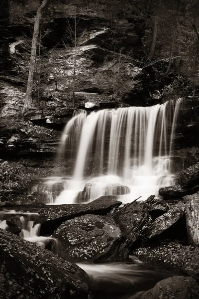 Wodospady Lesie Czerni Bieli — Zdjęcie stockowe