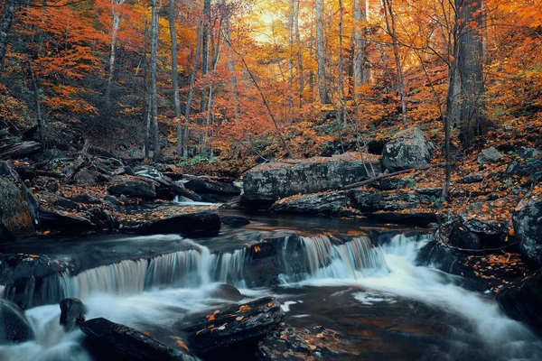 Осенние Водопады Парке Красочной Листвой — стоковое фото