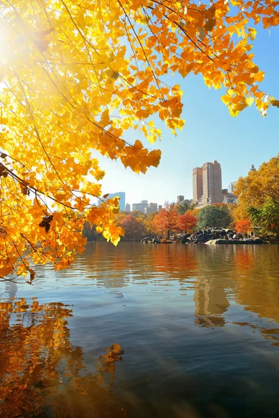 Foglie Alberi Lussureggianti Grattacielo Central Park Nell Autunno New York — Foto Stock