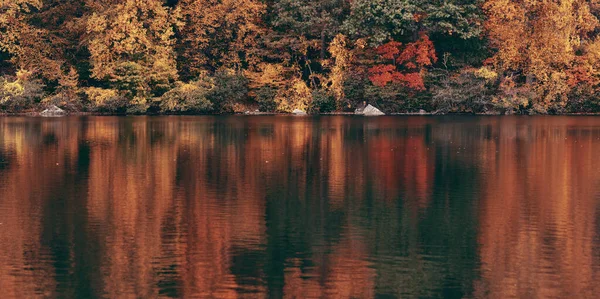 Herbst Buntes Laub Mit See Reflexion Panorama — Stockfoto