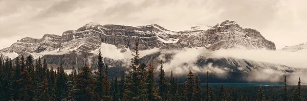 Bow Lake Panorama Con Nevada Montaña Bosque Parque Nacional Banff —  Fotos de Stock