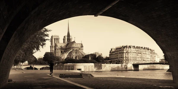 Paris River Seine Notre Dame Cathedral Panorama France — Stock Photo, Image