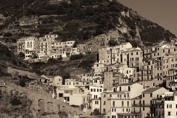イタリア チンクテレのManarolaの崖の上のイタリア式居住者の建物 — ストック写真