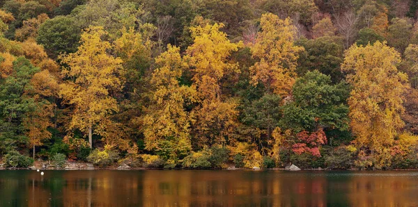 Folhagem Colorida Outono Com Panorama Reflexão Lago — Fotografia de Stock