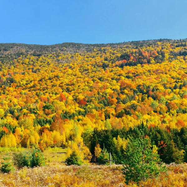 Landelijk Uitzicht Stowe Met Herfst Bergen Bos — Stockfoto