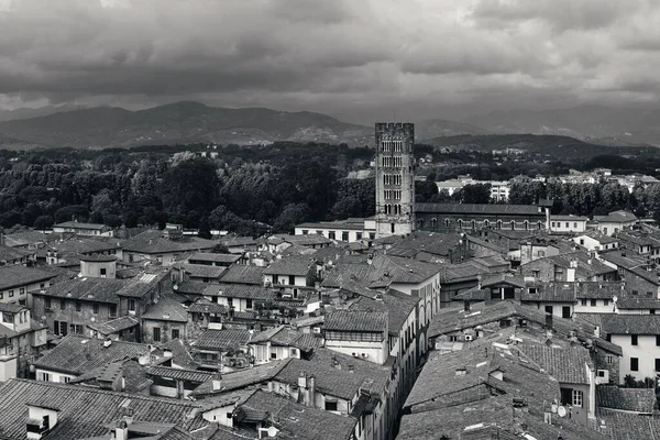 Lucca Skyline Met Toren Kathedraal Italië — Stockfoto