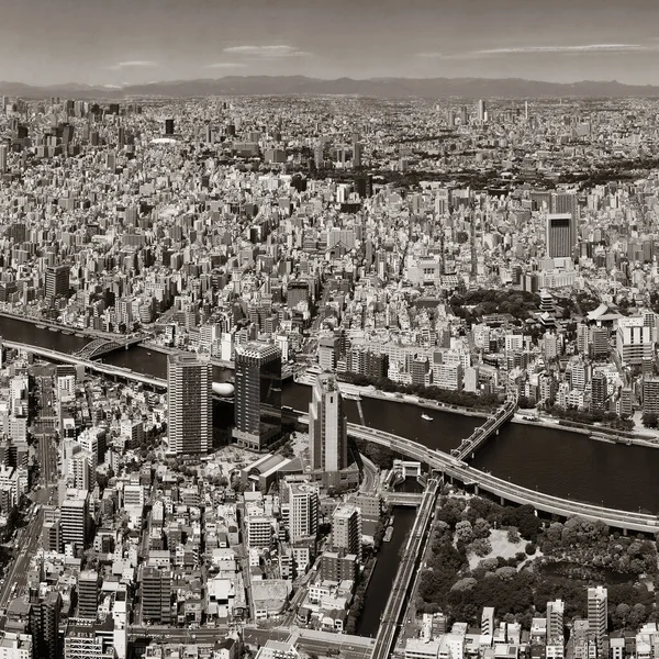 Tokyo Urban Skyline Rooftop View River Japan — Stock Photo, Image