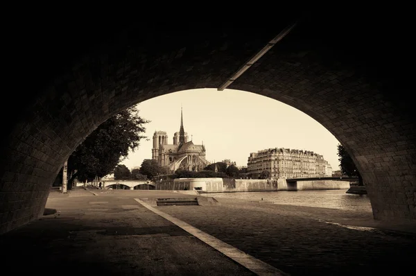 Rio Sena Paris Com Catedral Notre Dame França — Fotografia de Stock