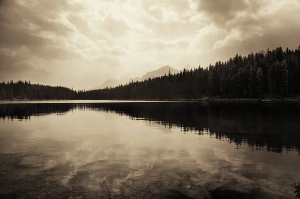 Herbert Jezera Odrazem Lesní Jezero Pohoří — Stock fotografie