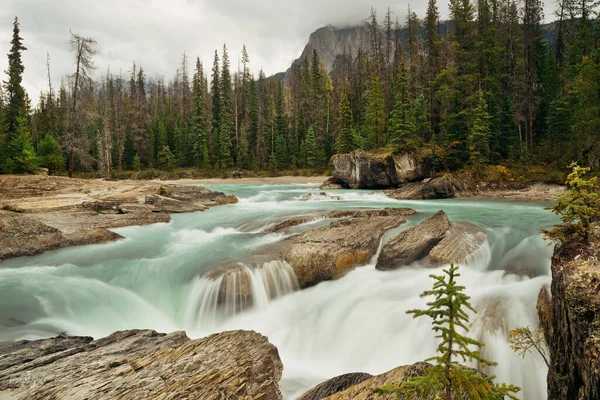 Creek Národním Parku Yoho Kanadě — Stock fotografie