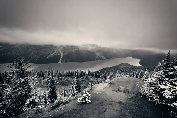 Peyto Lake Inverno Com Neve Banff National Park Canadá — Fotografia de Stock