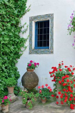 İspanya 'nın Cordoba kentindeki evin güzel çiçek süslemesi..