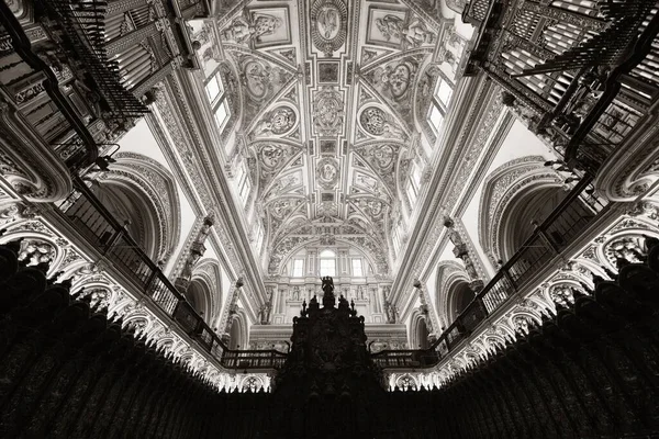 Cordoba Spanya Camii Katedrali Nin Görünümlü Inanılmaz Tavan Desenleri — Stok fotoğraf