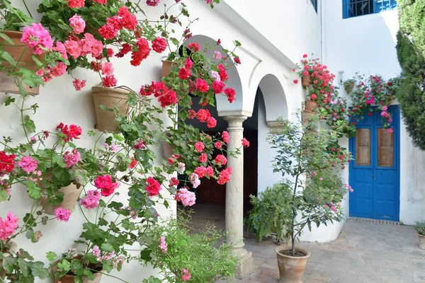 Beautiful Flower Decoration Resident House Cordoba Spain — Stock Photo, Image