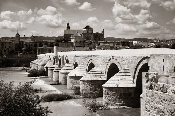 Meczet Katedra Starożytny Most Panorama Miasta Kordoba Hiszpanii — Zdjęcie stockowe