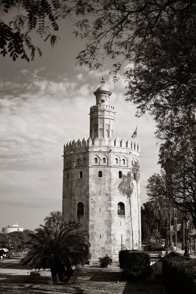 Sevilla Torre Del Oro España —  Fotos de Stock