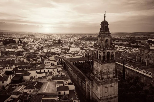 Mezquita Catedral Córdoba Vista Aérea España — Foto de Stock