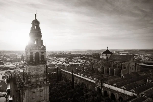 Καθεδρικός Ναός Του Τζαμιού Της Κόρδοβα Εναέρια Άποψη Στην Ισπανία — Φωτογραφία Αρχείου