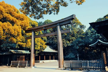 Meiji Jingu Tapınağı Geçidi. Tokyo, Japonya.