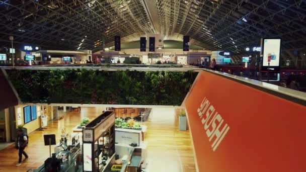 Charles de Gaulle Aeropuerto vista interior — Vídeos de Stock