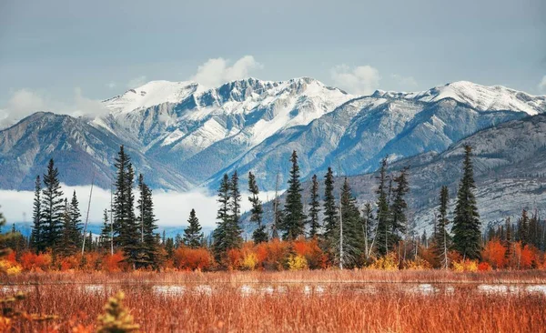 Όμορφο Φύλλωμα Φθινόπωρο Στο Jasper National Park Στον Καναδά — Φωτογραφία Αρχείου