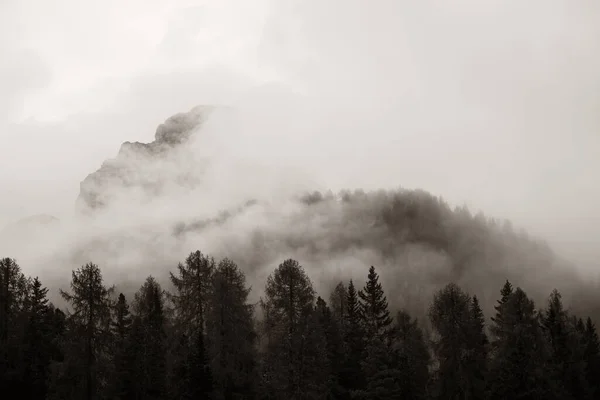 Paysage Naturel Des Dolomites Dans Brouillard Italie Nord — Photo