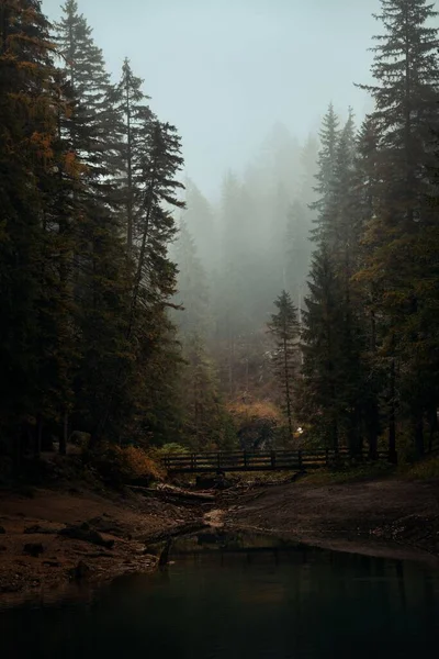 Dolomites Natural Landcape Forest Bridge Fog North Italy — стокове фото