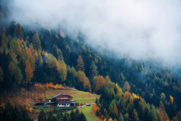 Dolomitler Kuzey Talya Evi Sisin Içinde Sonbahar Renkleri Olan Doğal — Stok fotoğraf