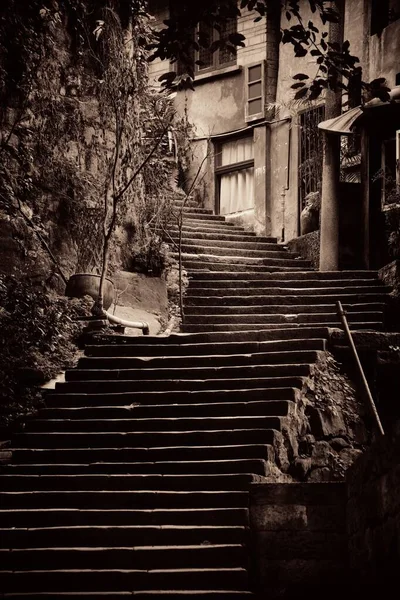 Xiahao 旧街的楼梯和树 — 图库照片