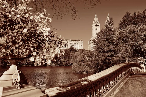 Central Park Otoño Edificios Centro Manhattan Nueva York —  Fotos de Stock