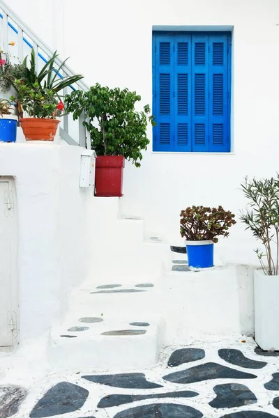 Flower Pot Street Mykonos Island Greece — Stock Photo, Image